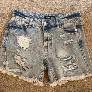 Fashion nova jean shorts